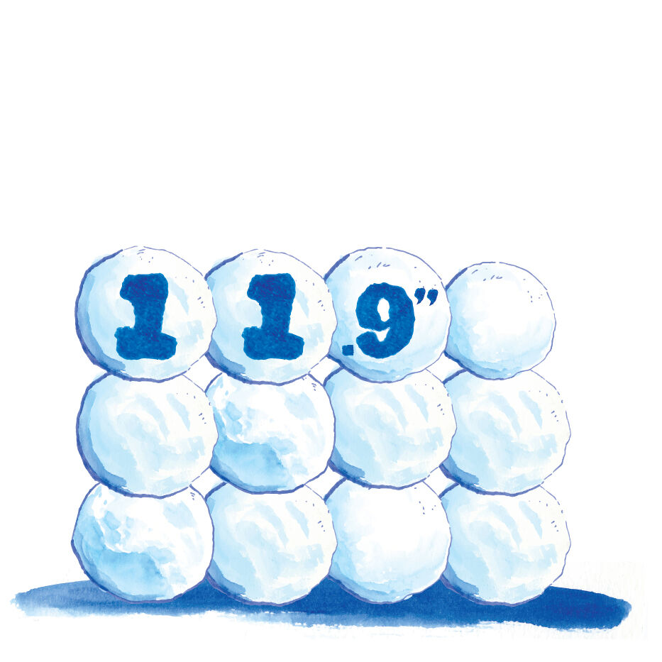 No. 7